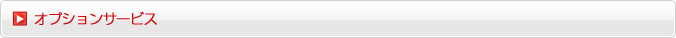 オプションサービス